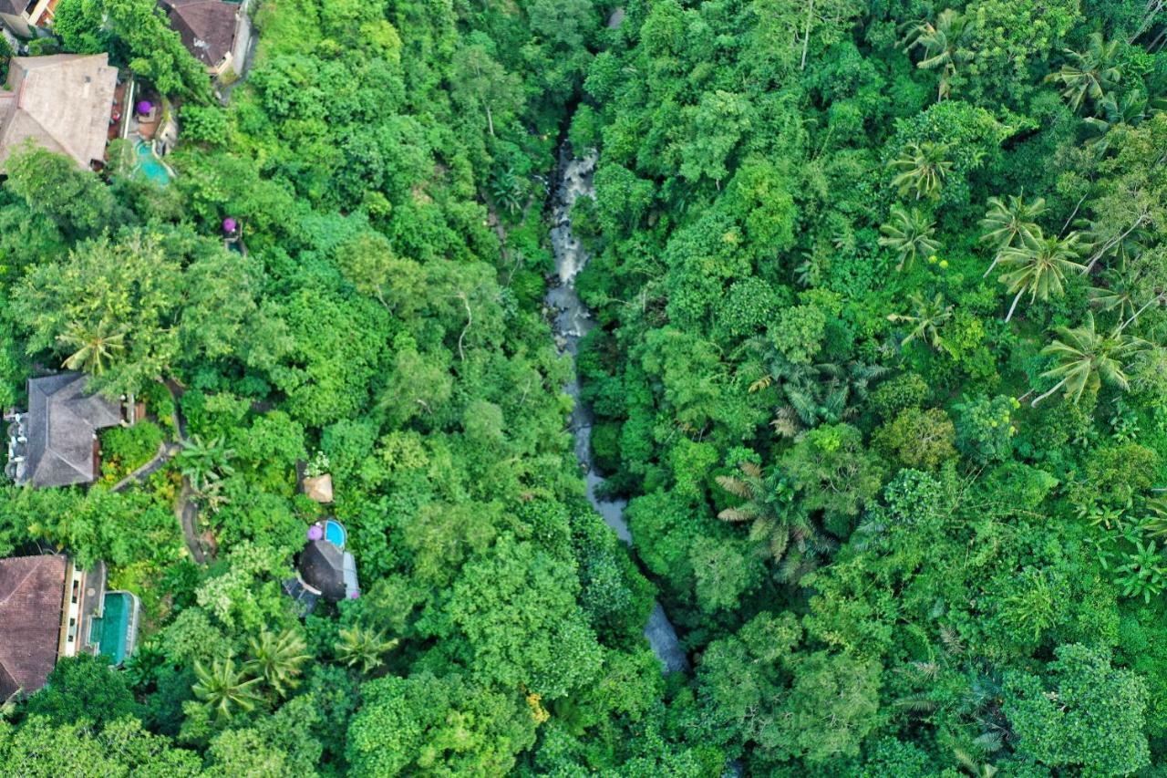 Villa Awang Awang Ubud  Luaran gambar